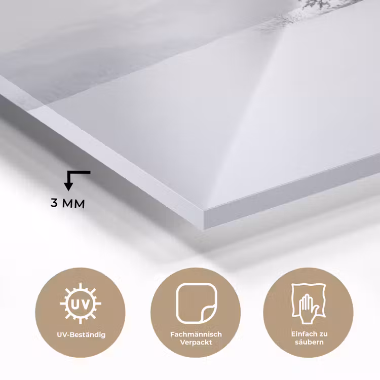 Fijnsparren - Sneeuw - Winter - Landschap - Stilte plexiglas 5mm klein -wsfeer2_DE
