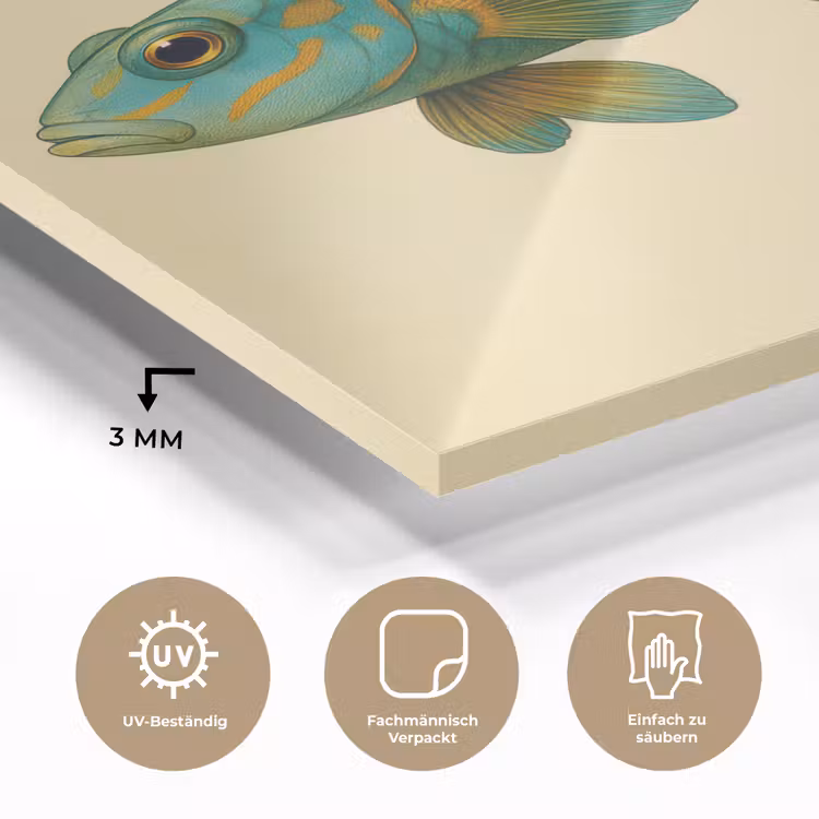Vis - Blauw - Stippen - Schubben plexiglas 5mm klein -wsfeer2_DE