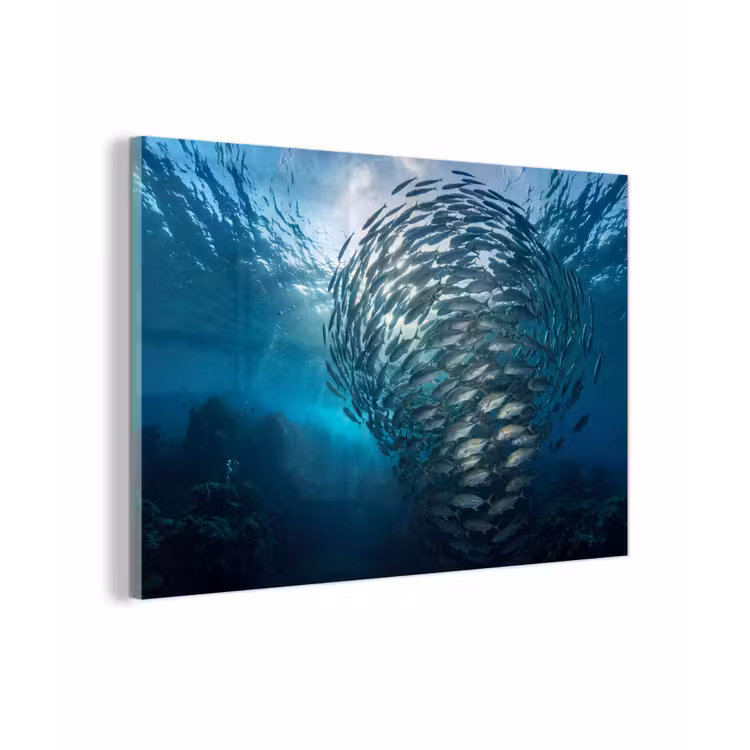 Vis - School - Oceaan - Natuur - Blauw plexiglas 5mm klein -zzzproduct_nieuw