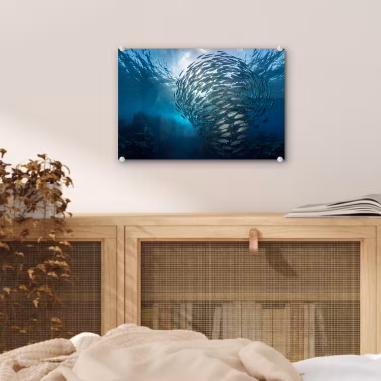 Vis - School - Oceaan - Natuur - Blauw plexiglas 5mm klein -sfeer3