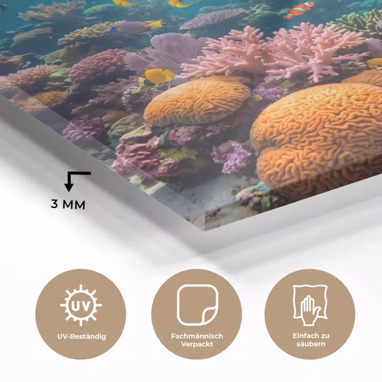 Vis - Koraal - Oceaan - Natuur - Kleurrijk plexiglas 5mm klein -wsfeer2_DE