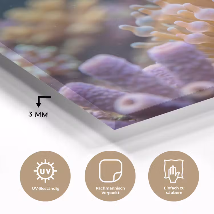 Vis - Koraal - Onderwater - Oranje - Dieren plexiglas 5mm klein -wsfeer2_DE