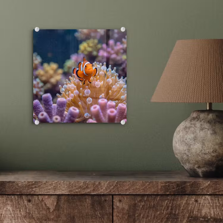 Vis - Koraal - Onderwater - Oranje - Dieren plexiglas 5mm klein -sfeer3