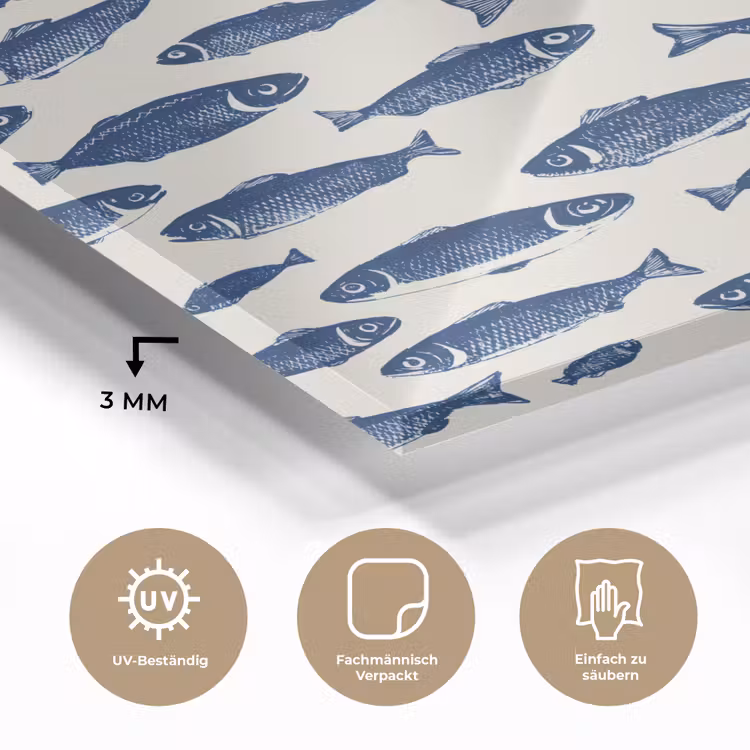 Vissen - Patroon - Blauw - Wit plexiglas 5mm klein 11 -wsfeer2_DE