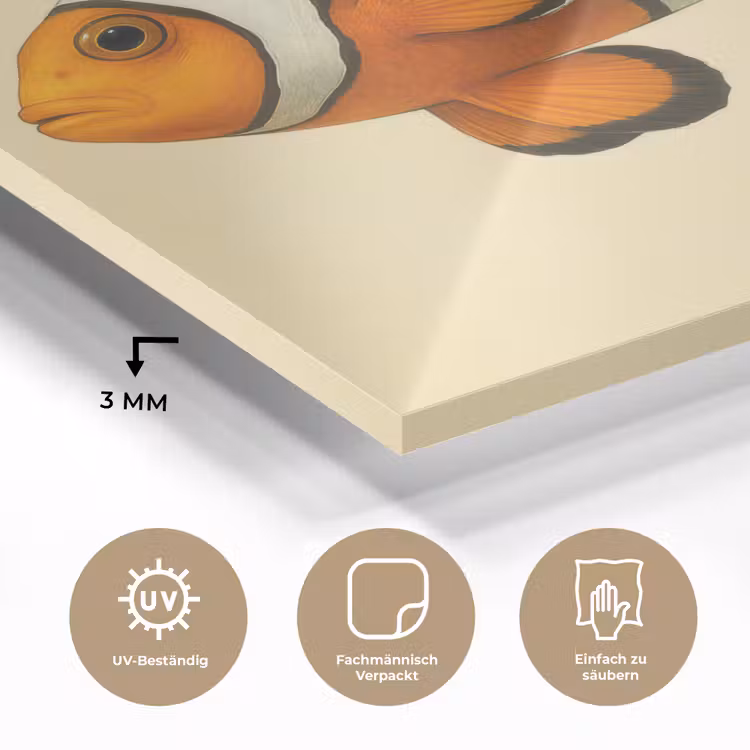 Vis - Oranje - Strepen plexiglas 5mm klein -wsfeer2_DE