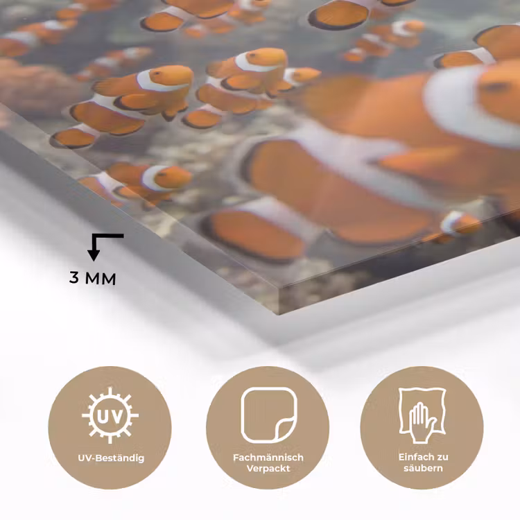 Vis - School - Onderwater - Dieren - Oranje plexiglas 5mm klein -wsfeer2_DE