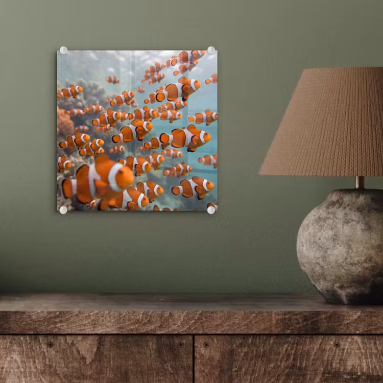Vis - School - Onderwater - Dieren - Oranje plexiglas 5mm klein -sfeer3