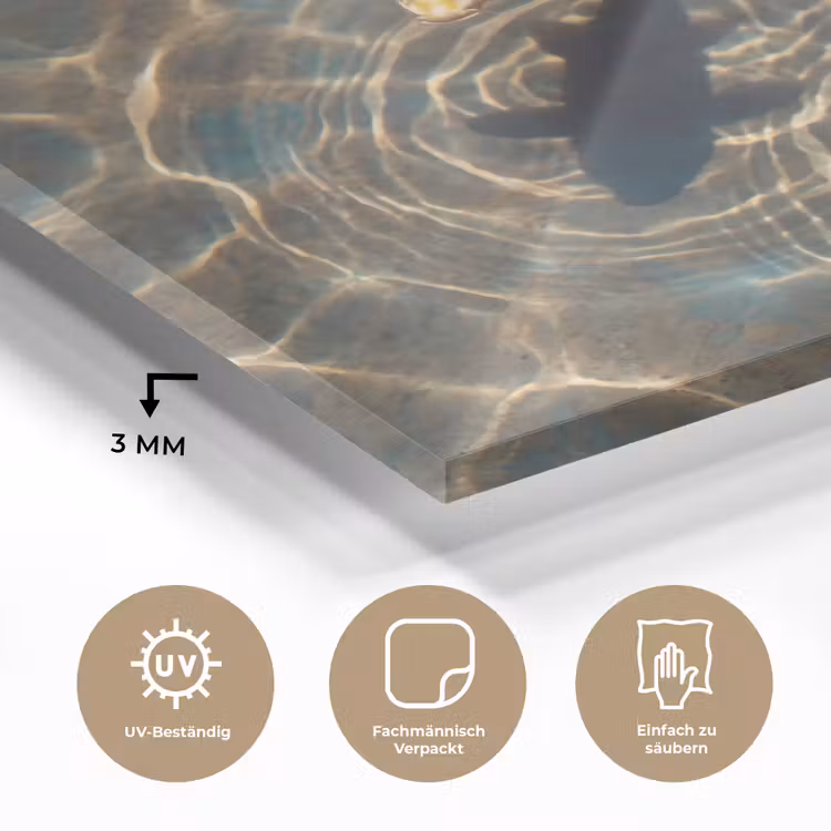 Vis - Water - Dieren - Oranje - Goud plexiglas 5mm klein -wsfeer2_DE