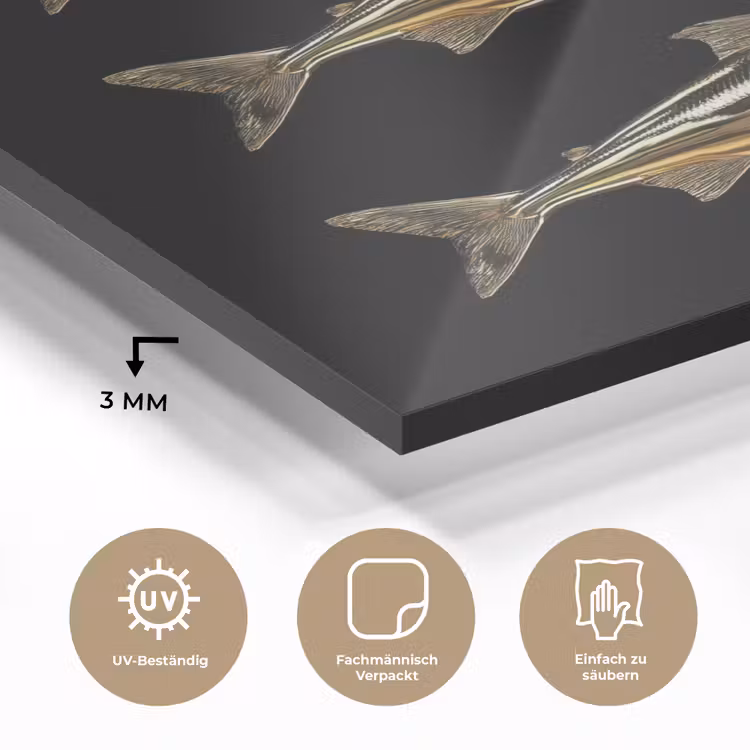 Vissen - Goud - Zwart plexiglas 5mm klein -wsfeer2_DE