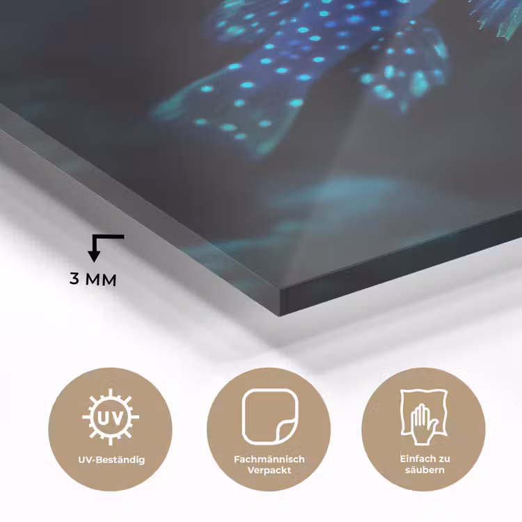 Vis - Stippen - Koraal - Blauw plexiglas 5mm klein -wsfeer2_DE