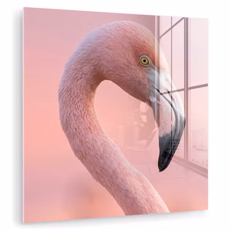 Flamingo - Portret - Roze plexiglas 5mm klein -zzzproduct_nieuw