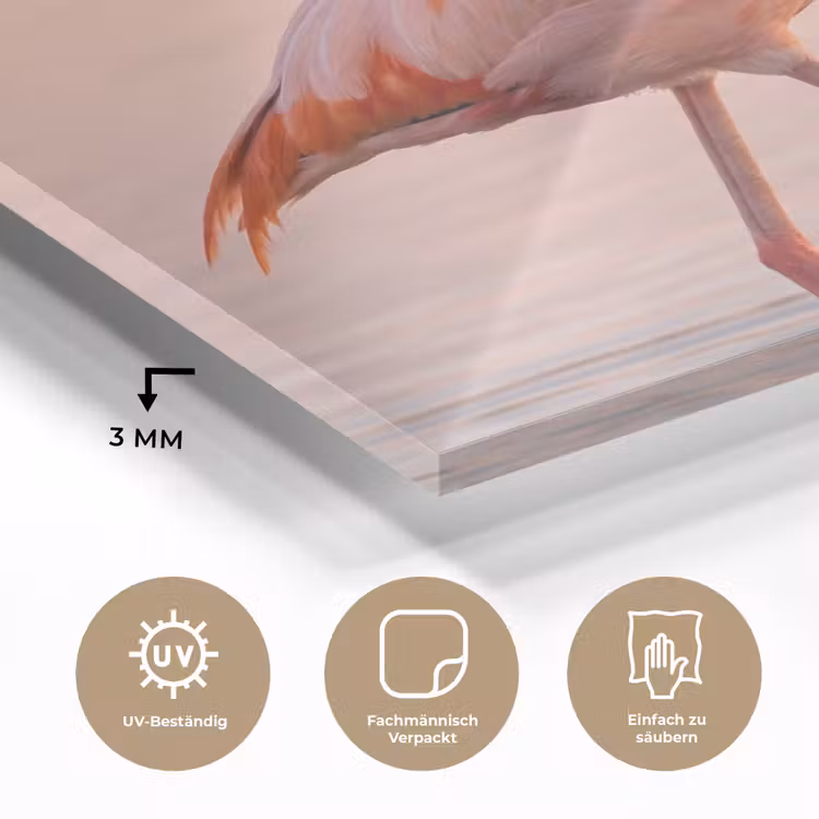 Flamingo - Water - Roze plexiglas 5mm klein -wsfeer2_DE