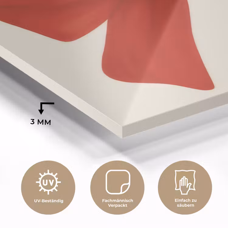 Strik - Symmetrisch - Rood - Lint plexiglas 5mm klein -wsfeer2_DE