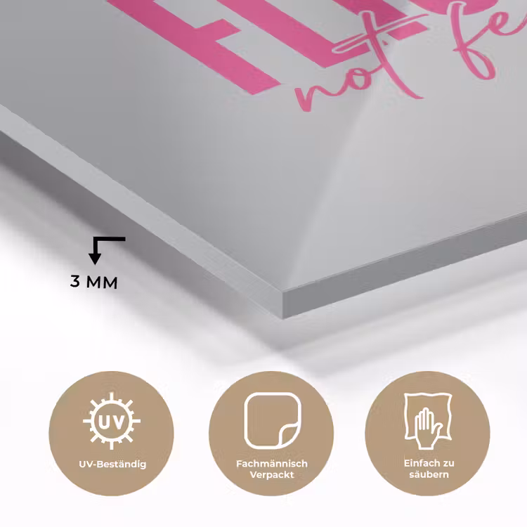 Catch flights not feelings - Vliegtuig - Roze plexiglas 5mm klein -wsfeer2_DE