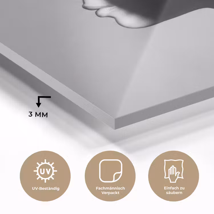 Vrouw - Profiel - Mensen - Zwart-wit plexiglas 5mm klein -wsfeer2_DE
