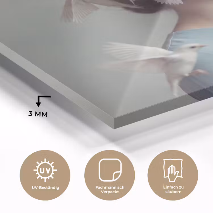 Vrouw - Vogels - Abstract - Modern - Wit plexiglas 5mm klein -wsfeer2_DE