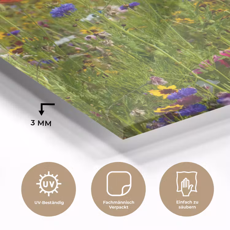 Lente - Bloemen - Rood - Klaproos - Gras - Groen plexiglas 5mm klein -wsfeer2_DE