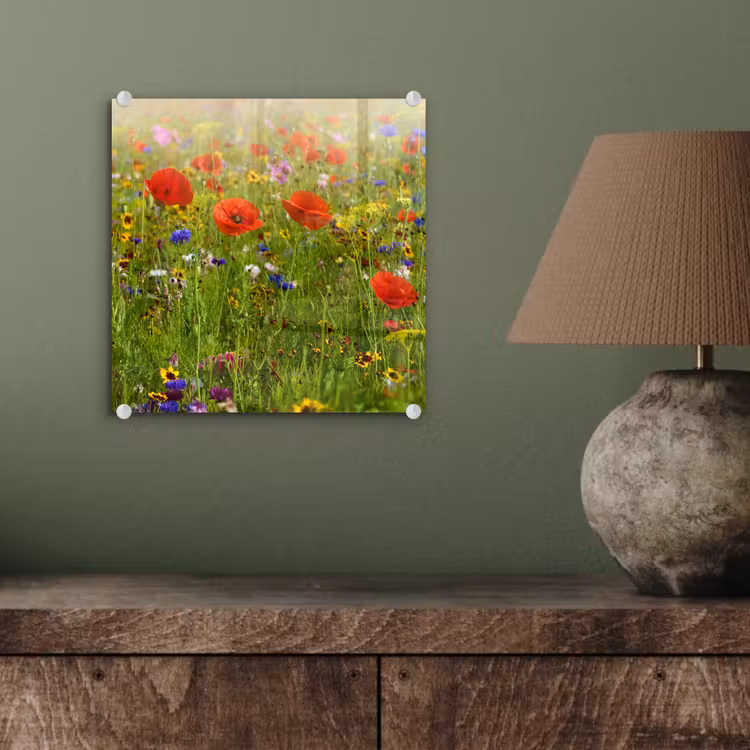Lente - Bloemen - Rood - Klaproos - Gras - Groen plexiglas 5mm klein -sfeer3