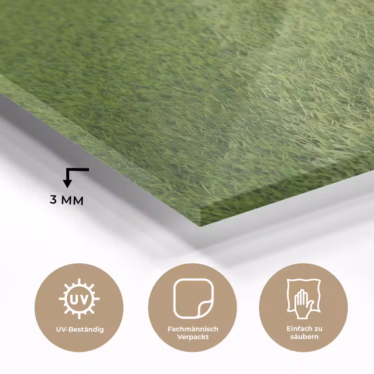 Voetbal - Grasveld - Sport - Groen plexiglas 5mm klein -wsfeer2_DE