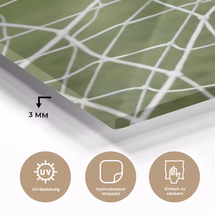 Voetbal - Goal - Net - Sport plexiglas 5mm klein -wsfeer2_DE