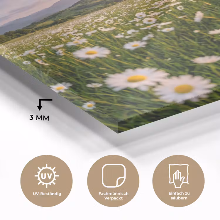 Madelief - Veld - Heuvels - Groen plexiglas 5mm klein -wsfeer2_DE