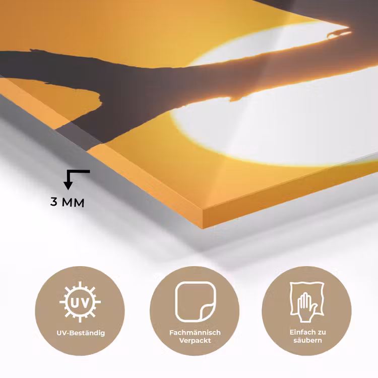 Gier - Tak - Zon - Oranje plexiglas 5mm klein -wsfeer2_DE