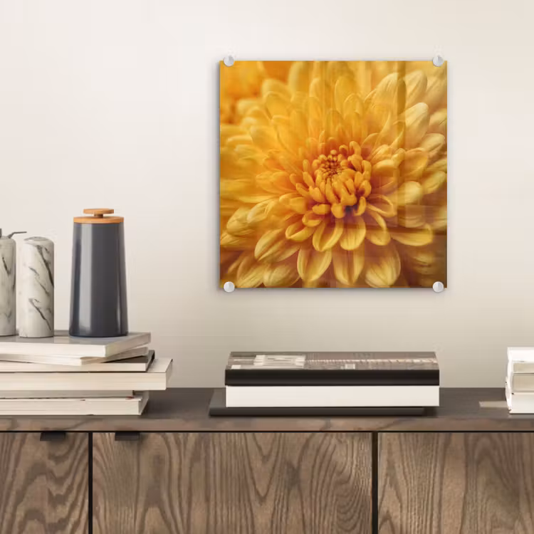 Geel - Chrysant - Zachtheid plexiglas 5mm klein -sfeer1