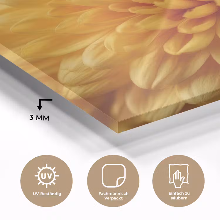 Geel - Chrysant - Zachtheid plexiglas 5mm klein -wsfeer2_DE
