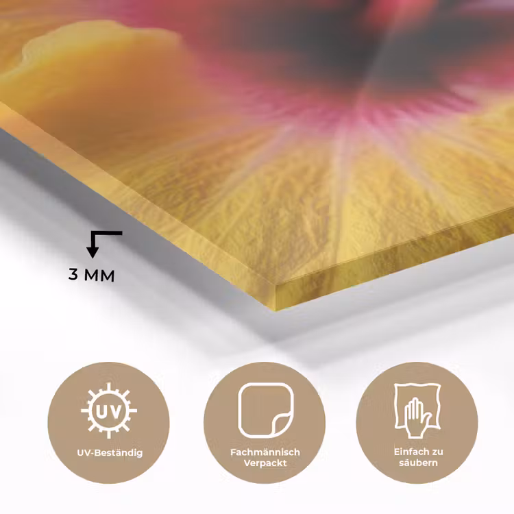 Geel - Hibiscus - Tropisch plexiglas 5mm klein -wsfeer2_DE