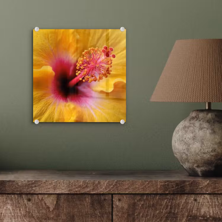 Geel - Hibiscus - Tropisch plexiglas 5mm klein -sfeer3