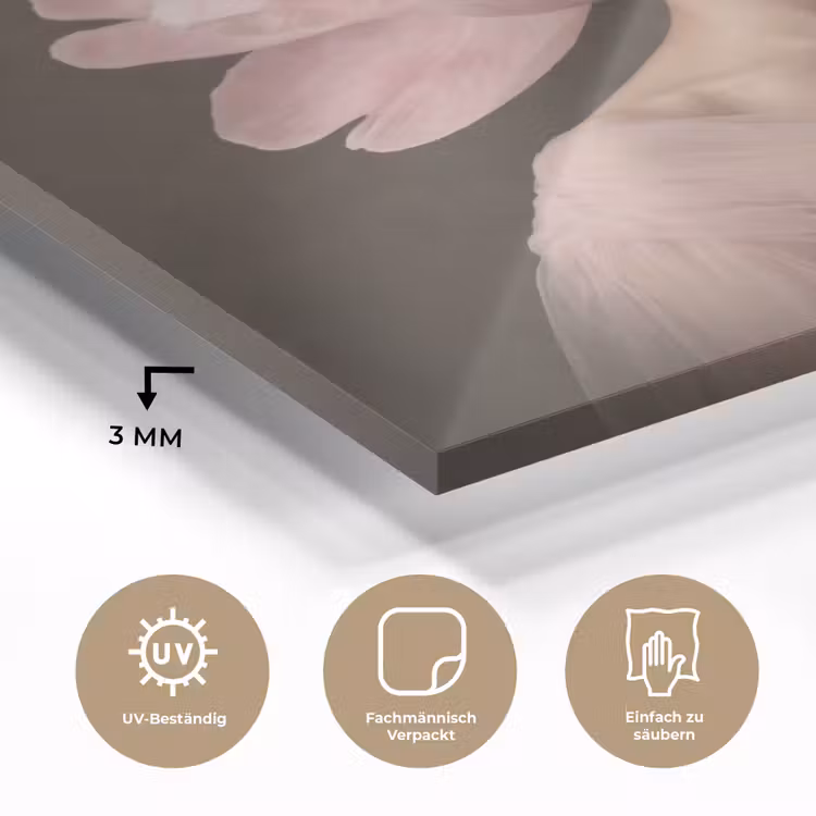 Gezicht - Roos - Roze plexiglas 5mm klein -wsfeer2_DE