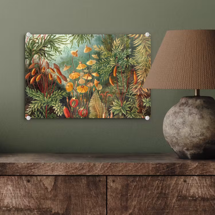 Design - Natuur - Paddenstoelen - Ernst Haeckel plexiglas 5mm klein -sfeer3