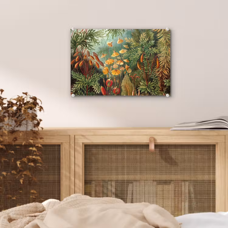 Design - Natuur - Paddenstoelen - Ernst Haeckel plexiglas 5mm klein -sfeer4