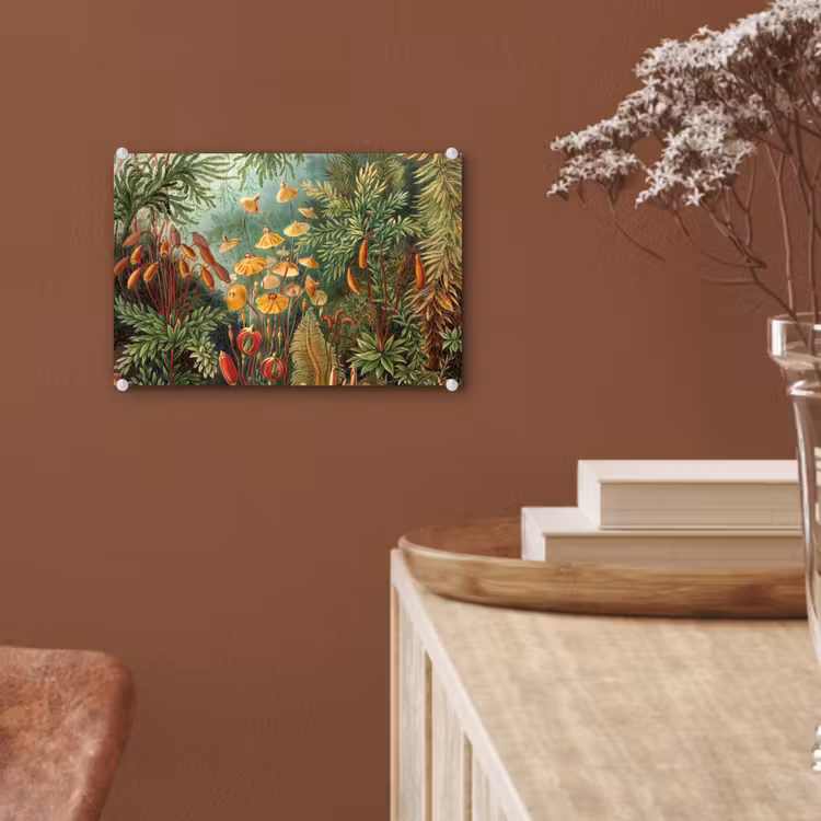 Design - Natuur - Paddenstoelen - Ernst Haeckel plexiglas 5mm klein -sfeer5