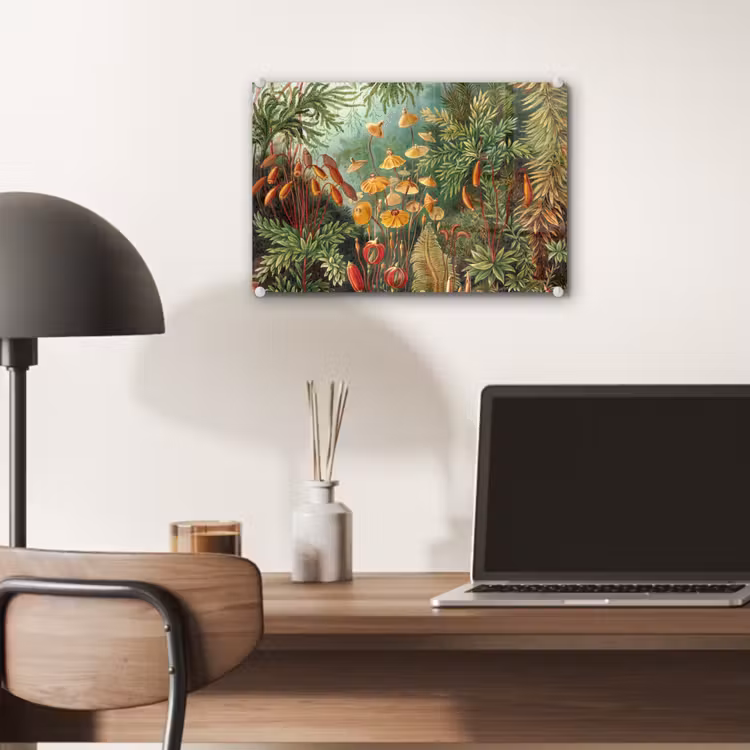 Design - Natuur - Paddenstoelen - Ernst Haeckel plexiglas 5mm klein -sfeer6