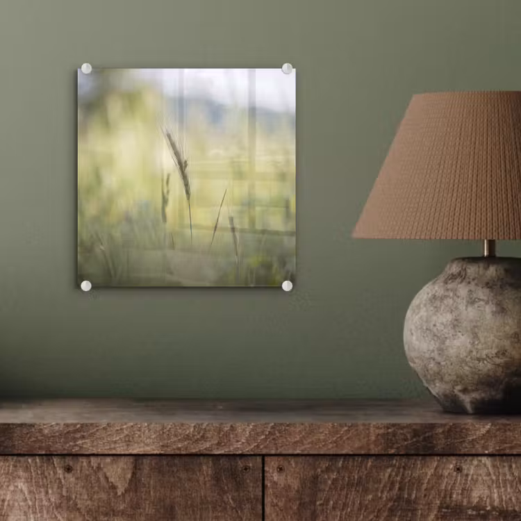 Graan - Aar - Natuur - Groen - Detail plexiglas 5mm klein -sfeer3