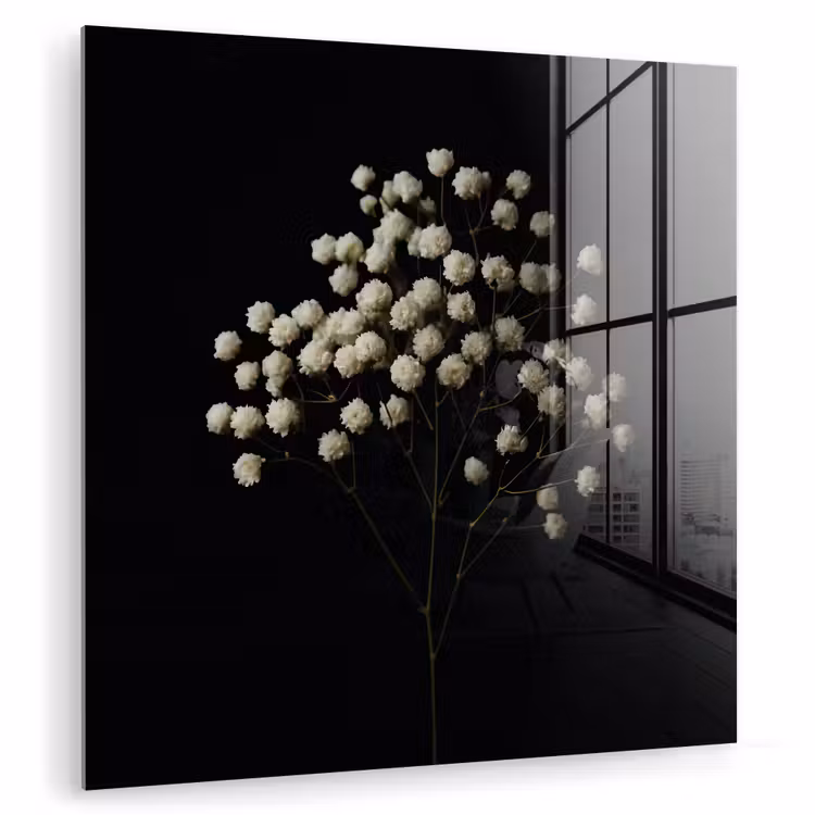Gipskruid - Bloemetjes - Wit - Minimalistisch plexiglas 5mm klein -zzzproduct_nieuw