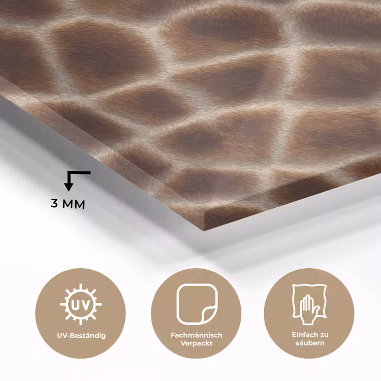 Giraf - Bruin - Vacht plexiglas 5mm klein 11 -wsfeer2_DE