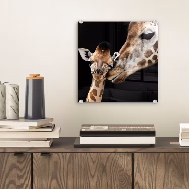 Giraffe - Dieren - Zwart - Portret - Dieren plexiglas 5mm klein -sfeer1