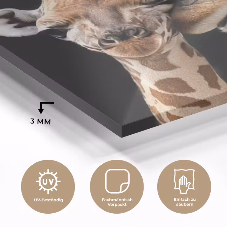 Giraffe - Dieren - Zwart - Portret - Dieren plexiglas 5mm klein -wsfeer2_DE