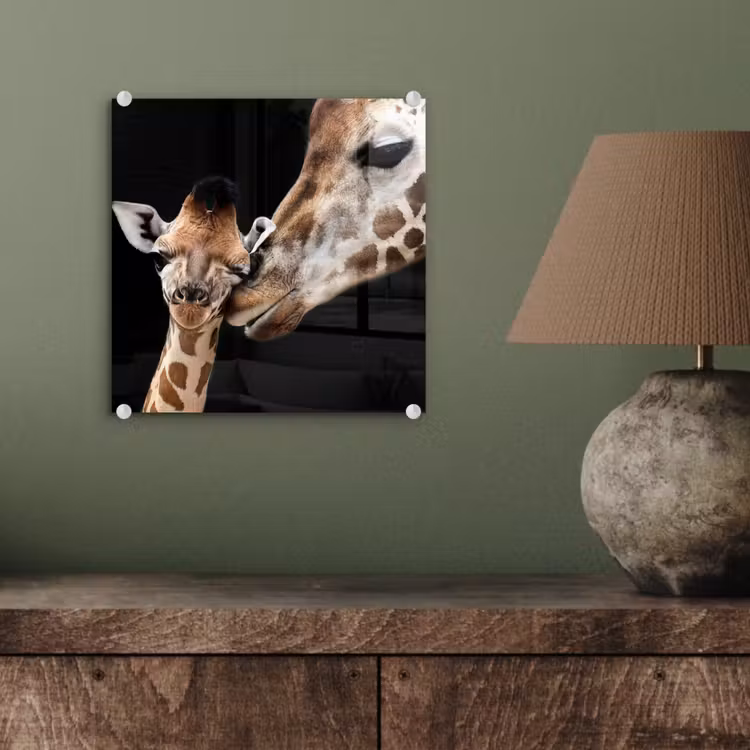 Giraffe - Dieren - Zwart - Portret - Dieren plexiglas 5mm klein -sfeer3