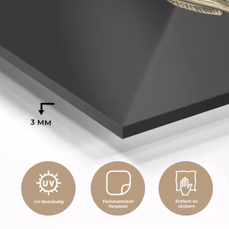 Goud - Vis - Haak - Zwart plexiglas 5mm klein -wsfeer2_DE