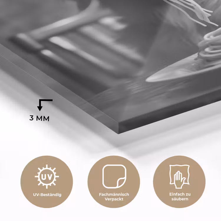 Golden Retriever - Hond - Vrolijk - Bord spaghetti - Zwart - wit plexiglas 5mm klein -wsfeer2_DE