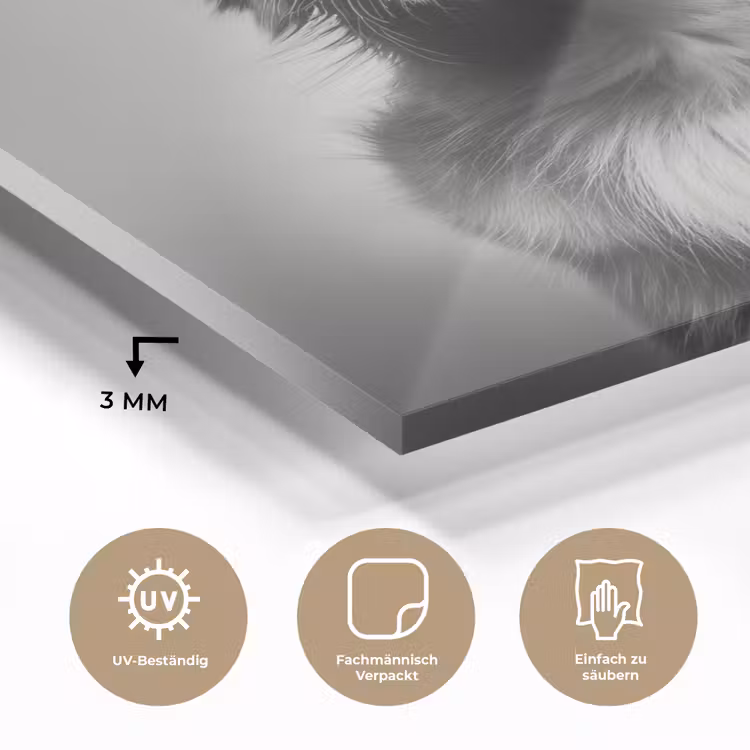 Golden retriever - Hond - Zonnebril - Gkas plexiglas 5mm klein -wsfeer2_DE