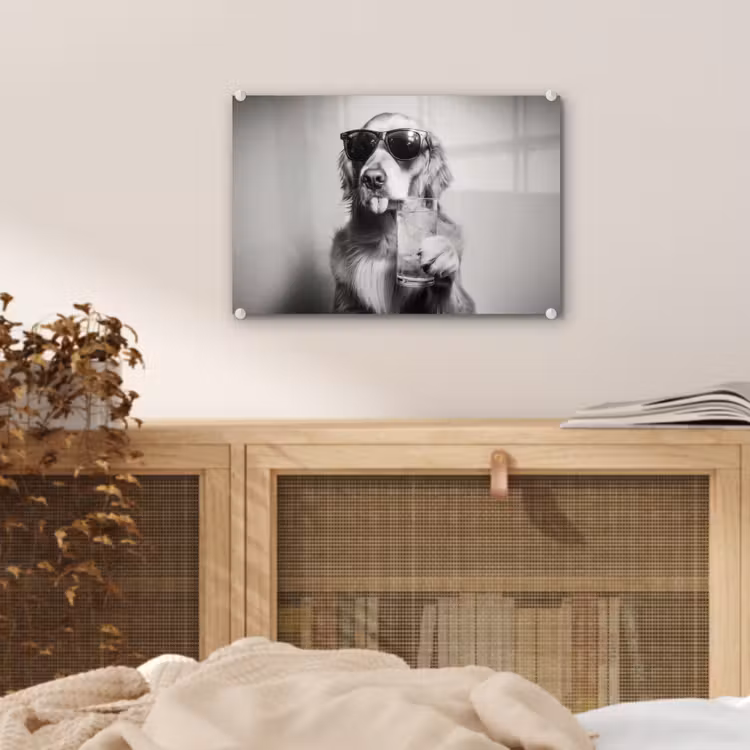 Golden retriever - Hond - Zonnebril - Gkas plexiglas 5mm klein -sfeer3