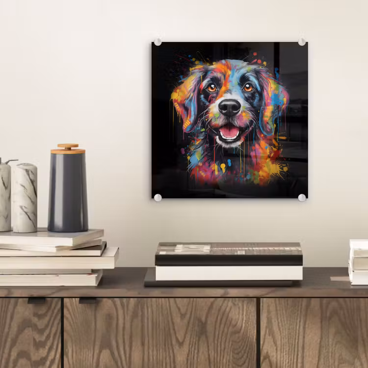 Graffiti - Hond - Zwart - Kleuren plexiglas 5mm klein -sfeer1