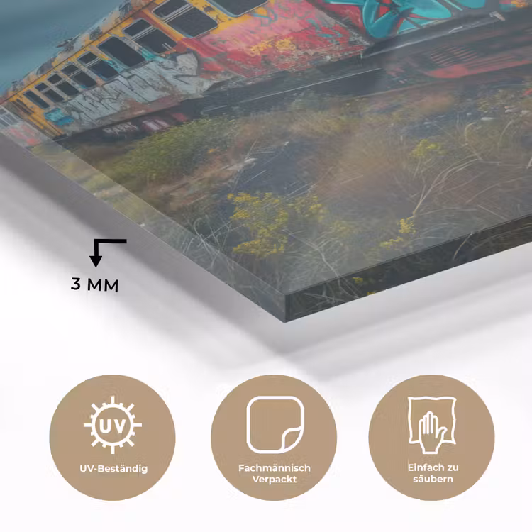 Graffiti - Trein - Street art - Verlaten plexiglas 5mm klein -wsfeer2_DE