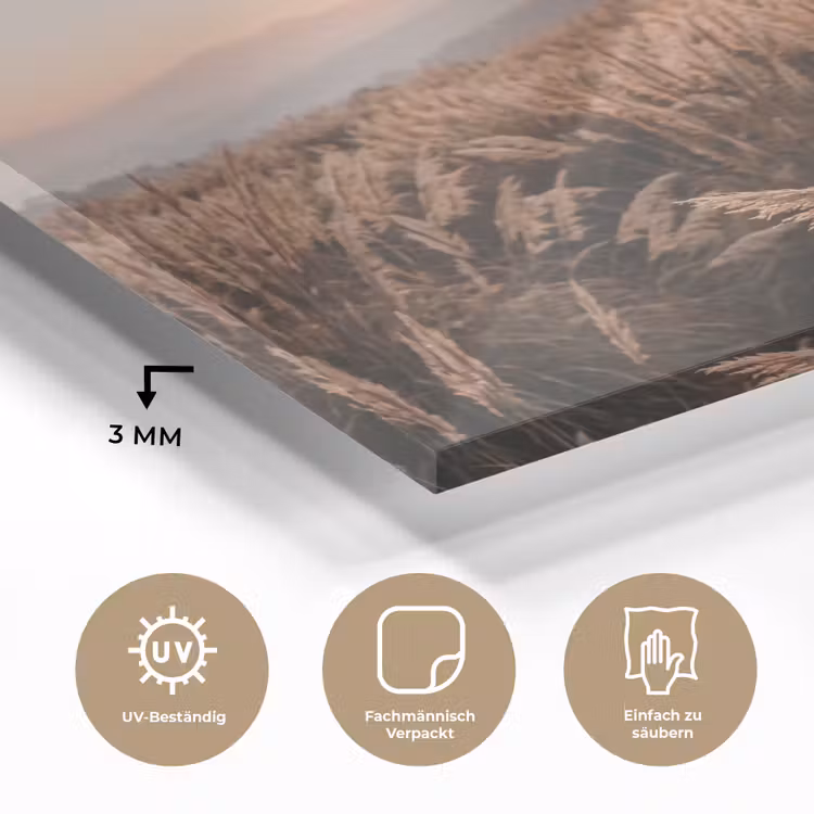 Gras - Veld - Zon - Natuur plexiglas 5mm klein -wsfeer2_DE