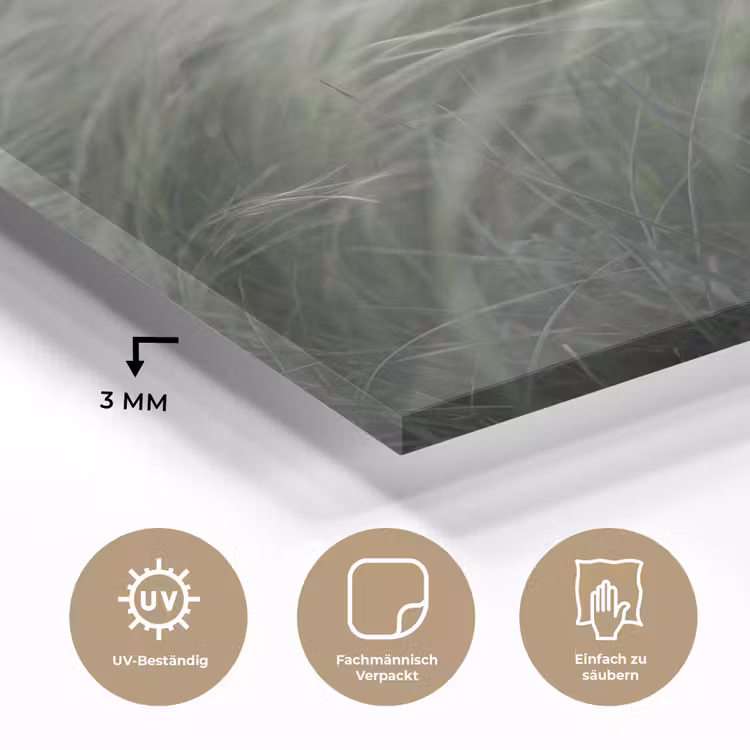 Gras - Wazig - Natuur - Groen - Zacht plexiglas 5mm klein -wsfeer2_DE