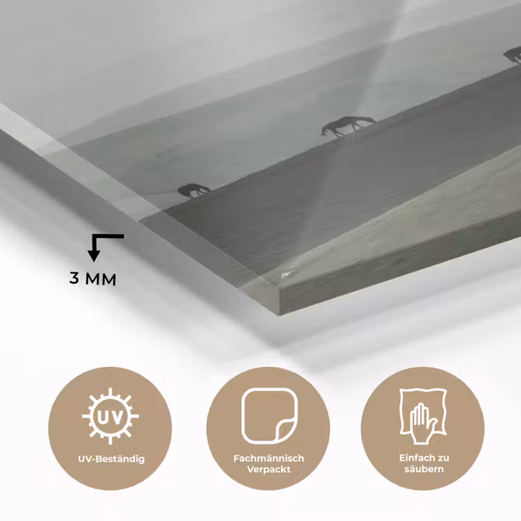 Grijs - Berg - Paarden plexiglas 5mm klein -wsfeer2_DE